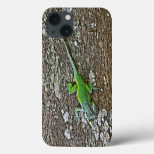 Caso Gecko