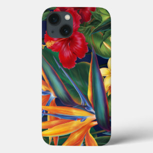 Caso havaiano do iPad do paraíso tropical