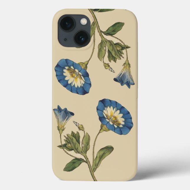 Caso iPhone 6 das Flores Botânicas (Verso)