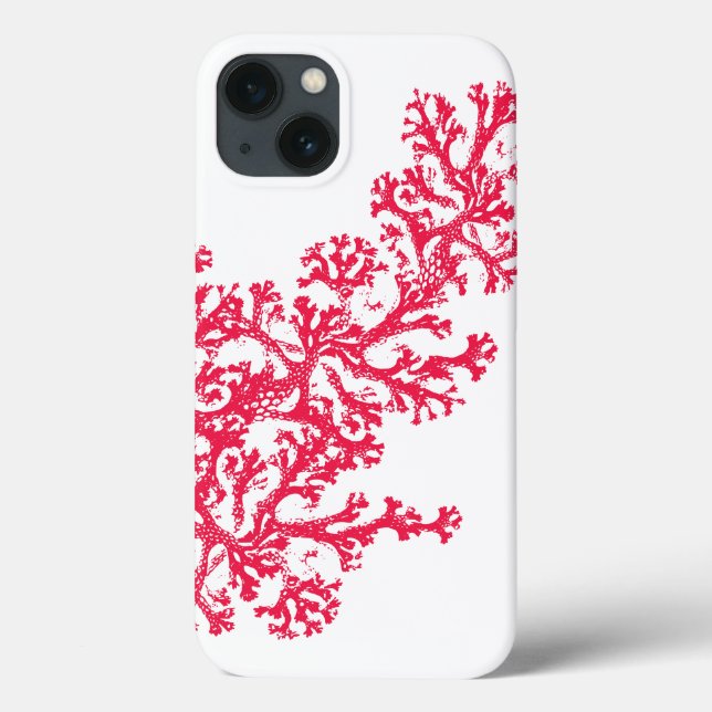 Caso-Mate Coral Motif (Verso)