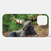 Caso Moose iPhone 12
