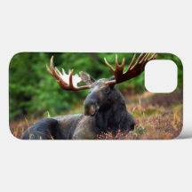 Caso Moose iPhone 13