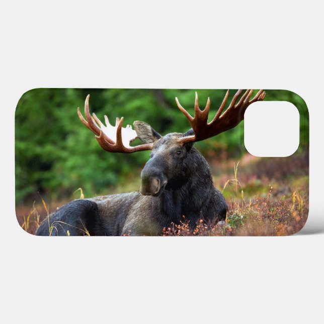 Caso Moose iPhone 13 (Verso (horizontal))