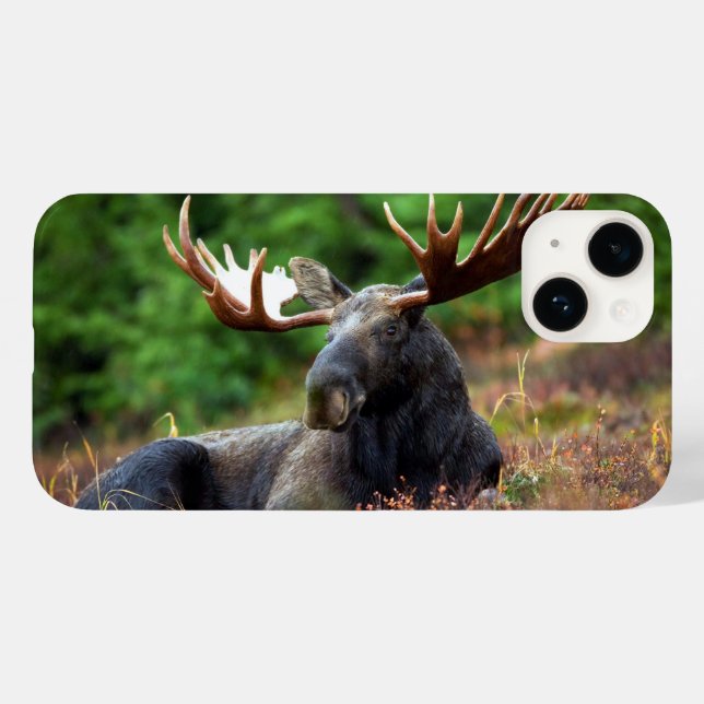 Caso Moose iPhone 14 (Verso (horizontal))