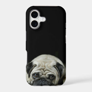 caso triste do iphone 5 do pug