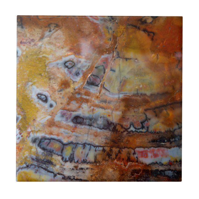 Castanho de Madeira Petrificado (Frente)