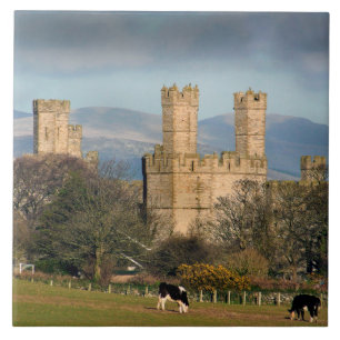 Castelo de Caernarfon País de Gales.