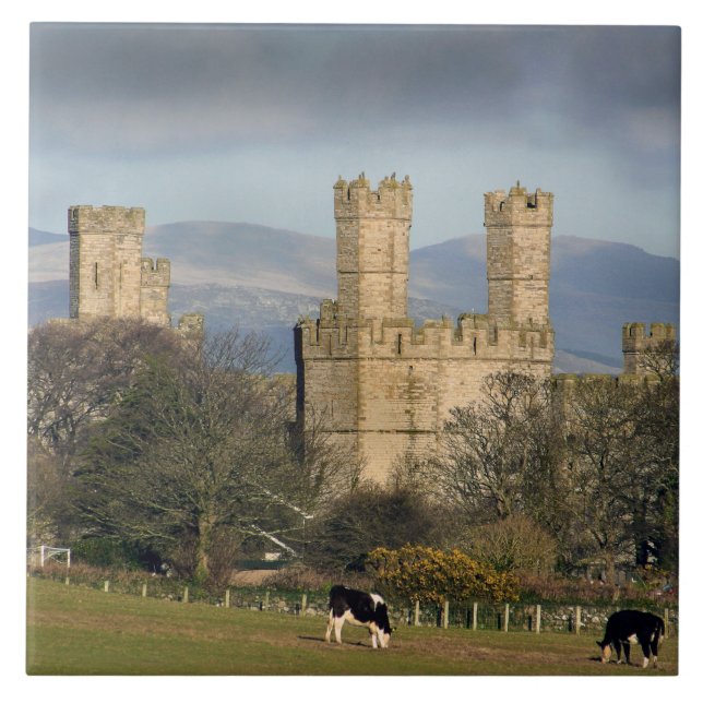 Castelo de Caernarfon País de Gales. (Frente)