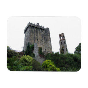 Castelo do Blarney & ímã de Flexi da torre