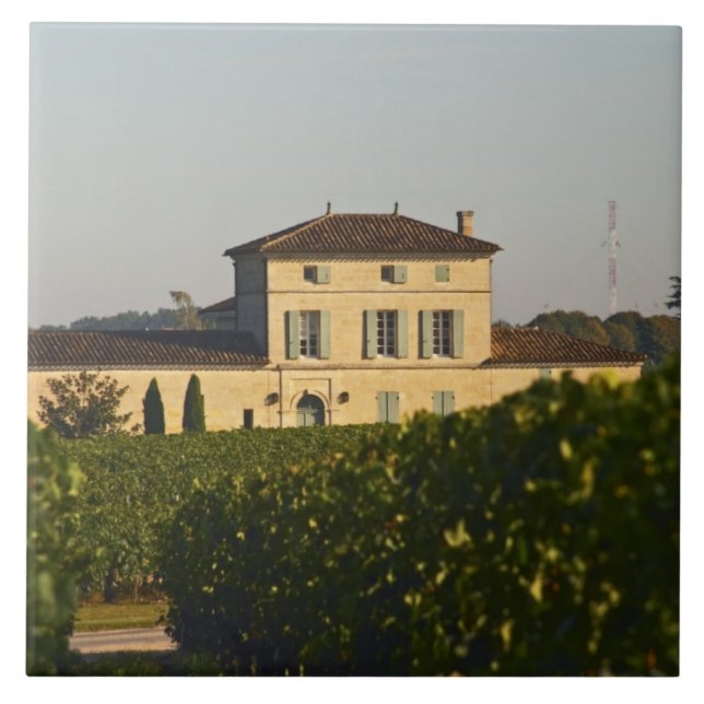 Castelo Lafleur Petrus e vinhedo, em Pomerol, (Frente)