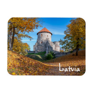 Castelo medieval cercado por ímã florestal