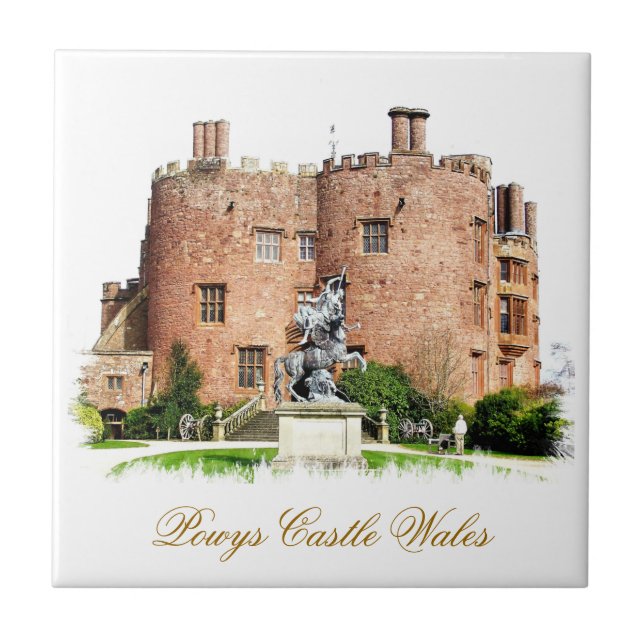 CASTELOS WELSH (Frente)