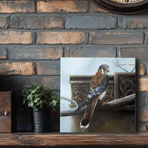Castle Kestrel