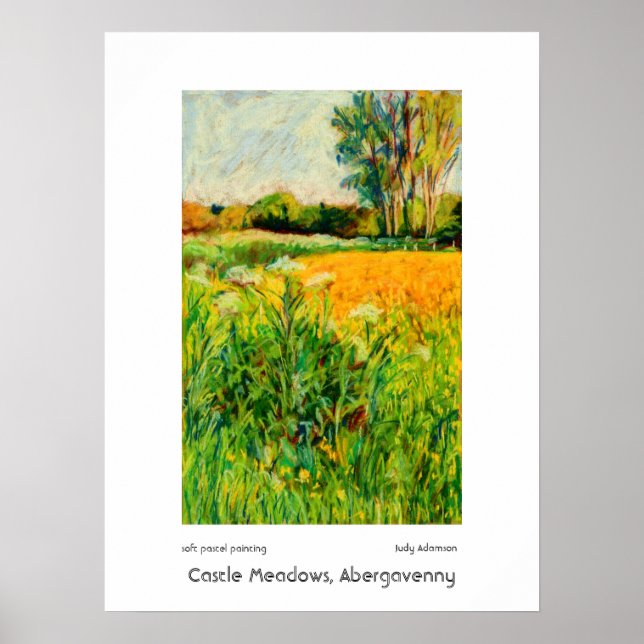 Castle Meadows, Abergavenny Impressão ou Poster (Frente)