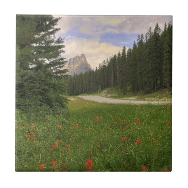 Castle Mountain Banff (Frente)