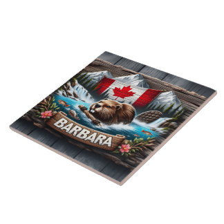 Castor Canadense Nadando Perto do Stream da Montan