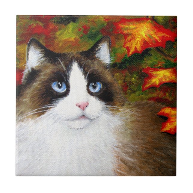 Cat 566 outono (Frente)