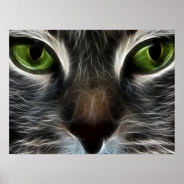 Cat Animal Photo Nature Wall Poster (Frente)