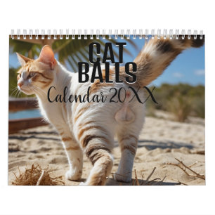 Cat Balls 2025 Calendário Engraçado