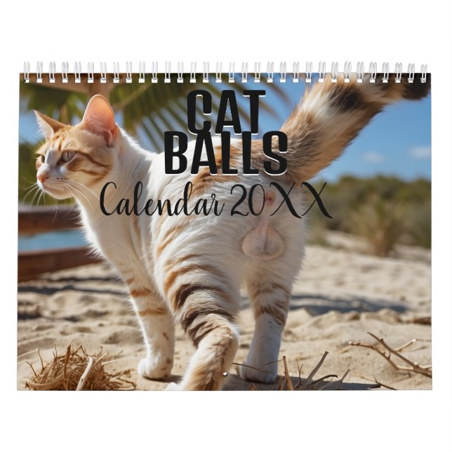 Cat Balls 2026 Calendário Engraçado (Capa)