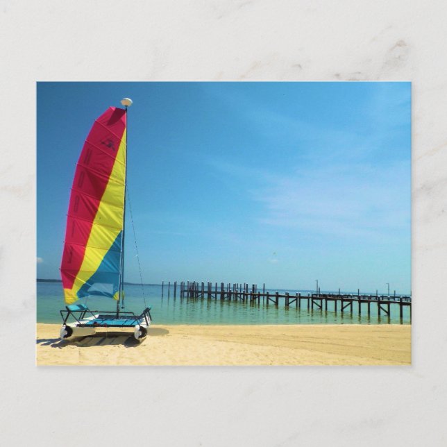 Cat by the Sea - Cartão postal à vela (Frente)