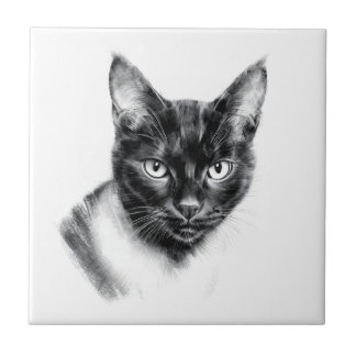 Cat Charcoal