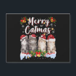 Cat Christmas Santa Hat Engraçado Feliz Catmas<br><div class="desc">Cat Christmas Santa Hat Engraçado Feliz Catmas</div>