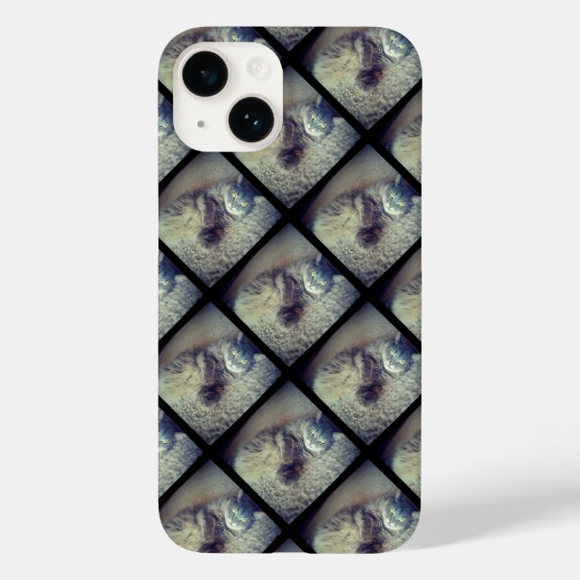 Cat Collage por Shirley Taylor (Verso)