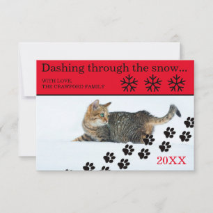 Cat Dashing Through the Snow - Cartão de Natal 3x5