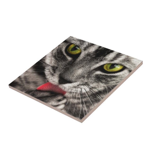 Cat Lick (Lateral)