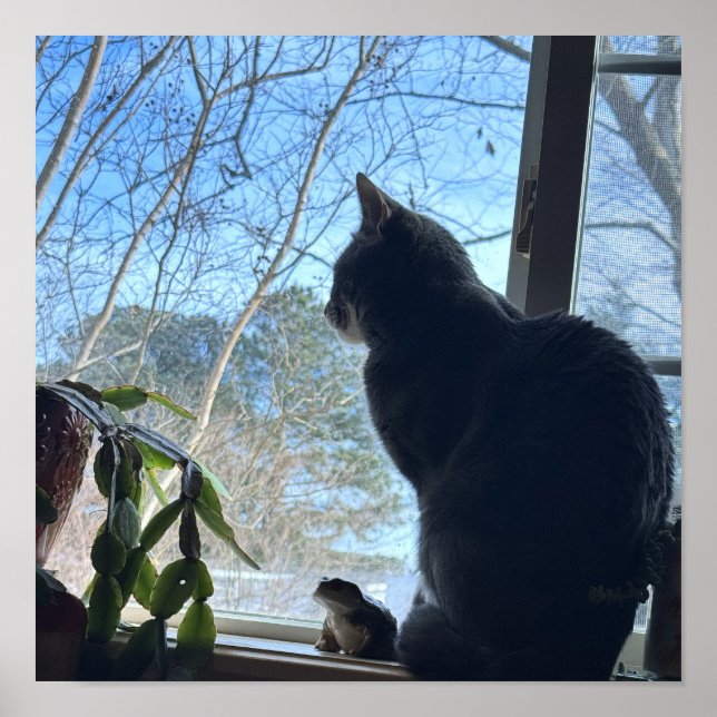 Cat Looking Out Window Poster (Frente)
