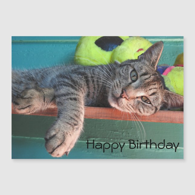 Cat Love Happy Birday (Frente)