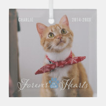 Cat Memorial Forever em nossos Corações Foto e Nom