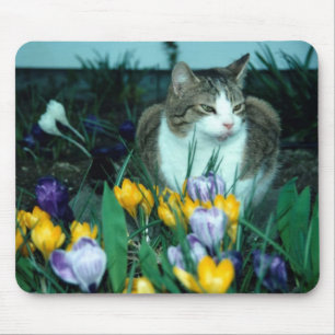 Cat Mouse Pad