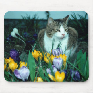 Cat Mouse Pad