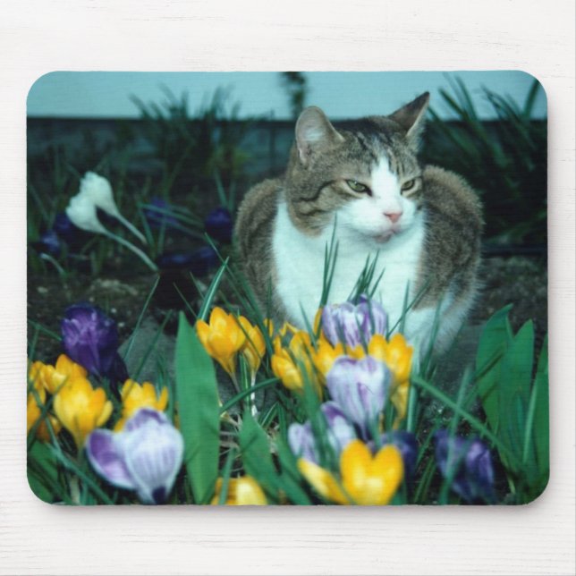 Cat Mouse Pad (Frente)