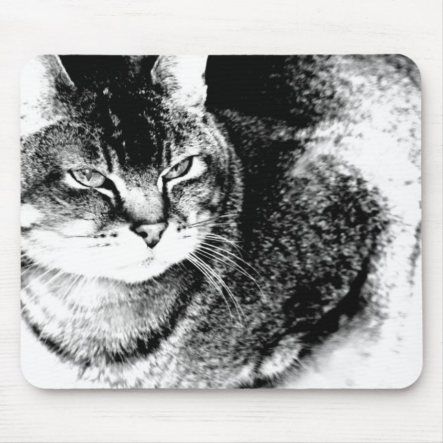 Cat Mousepad (Frente)