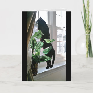 Cat no Cartão de Nota da Janela