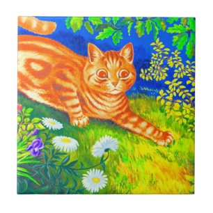 Cat Noite
