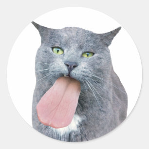 Cat Pegou Sua Língua? Adesivo redondo clássico