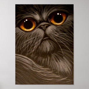 CAT PERSA de SMOKEY que PINTA 1 poster