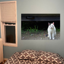 Cat Photo Poster