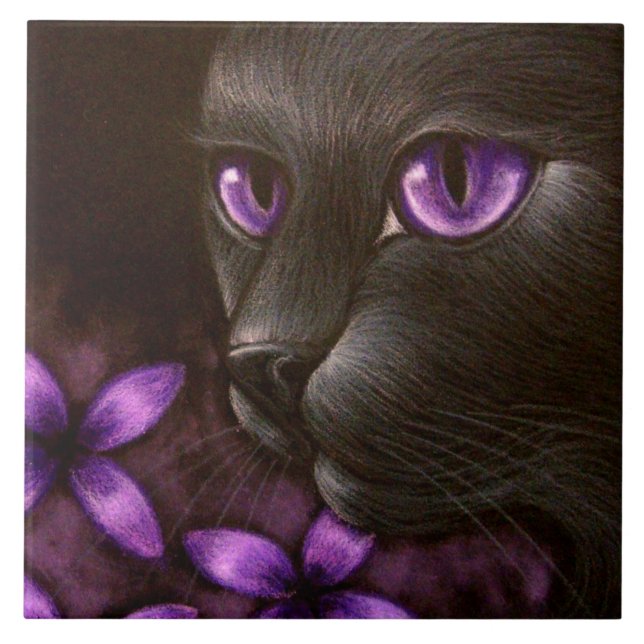 CAT PRETO com o AZULEJO VIOLETA das FLORES (Frente)