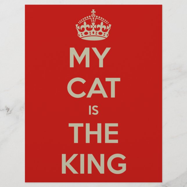 Cat Qoute (Frente)