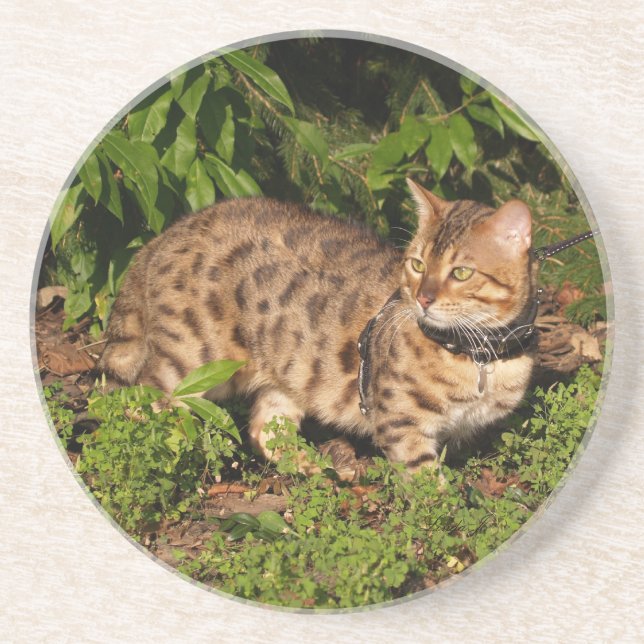 Cat Series — Serval Savannah Cat — Porta copos (Frente)