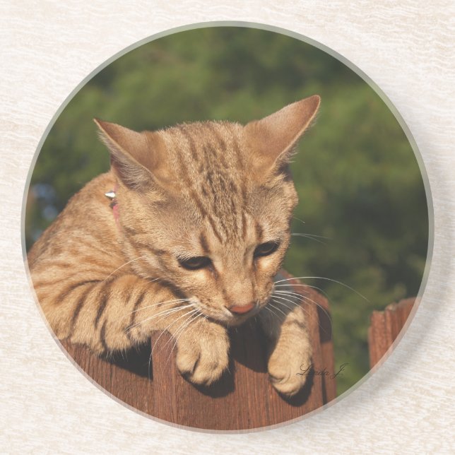 Cat Series — Serval Savannah Cat — Porta copos (Frente)