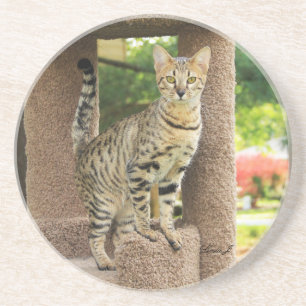 Cat Series — Serval Savannah Cat — Porta copos