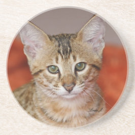 Cat Series — Serval Savannah Cat — Porta copos