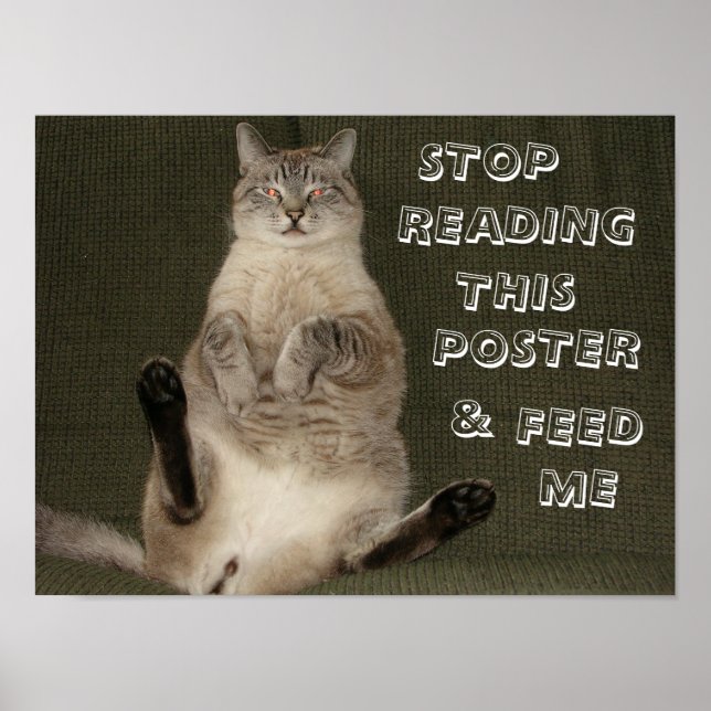 Cat "Stop Reading This Poster & Feed Me" Poster (Frente)