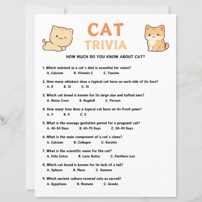 Cat Trivia Game (Frente)